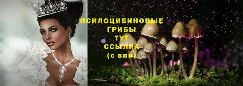 гидра зеркало  Ермолино  Галлюциногенные грибы Magic Shrooms 